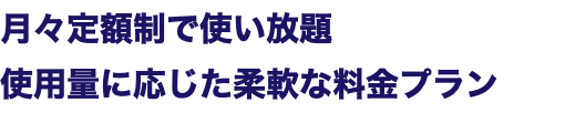 月々定額制で使い放題 使用量に応じた柔軟な料金プラン